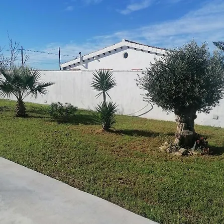 Suenos De Levante